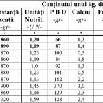 Agricultura pe intelesul tuturor SORGUL Un potential substitut pentru porumb 1