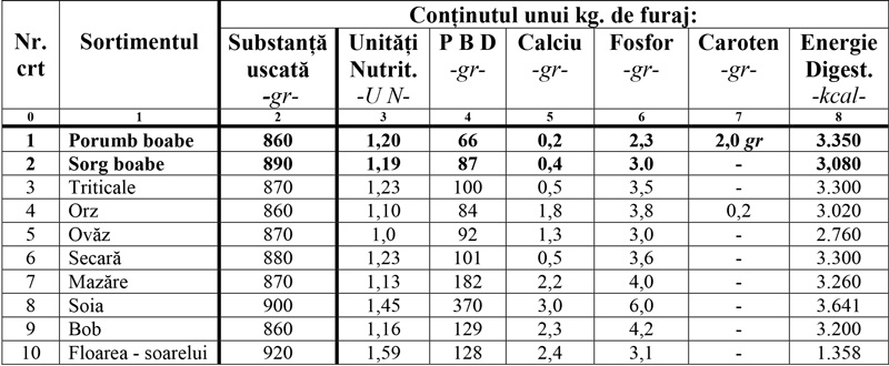 Agricultura pe intelesul tuturor SORGUL Un potential substitut pentru porumb 1