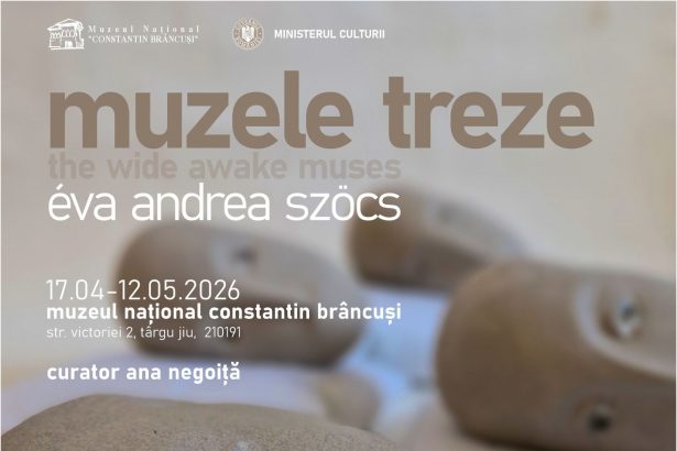 Muzele Treze o noua expozitie vernisata astazi la sediul Muzeului National Constantin Brancusi