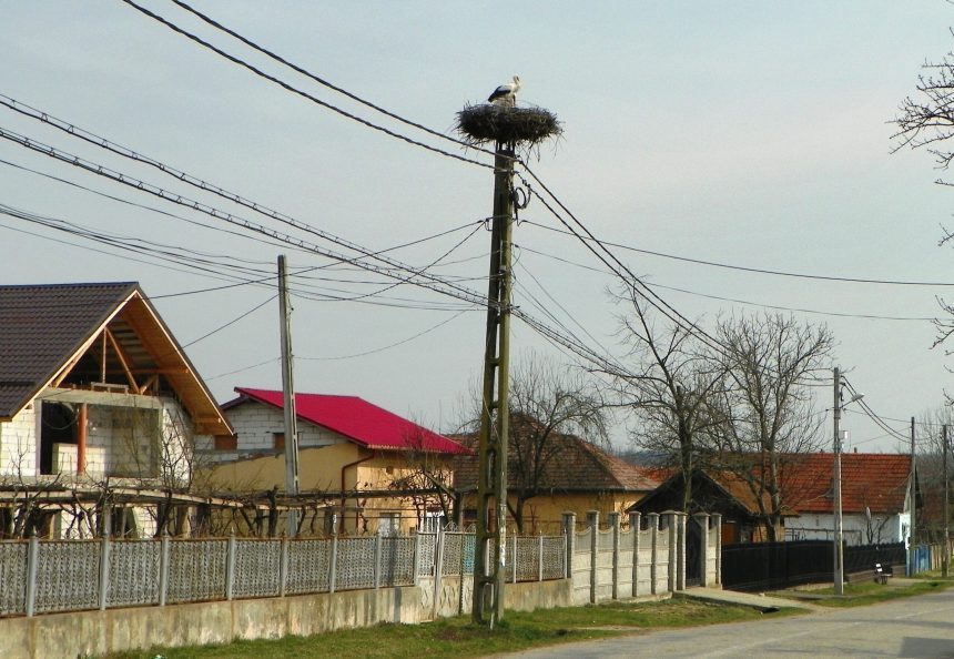 Odata cu luna Prier Berzele au sosit pe plaiul gorjean