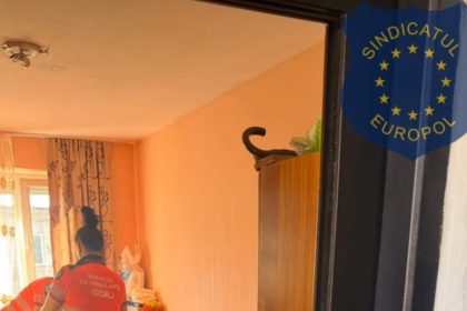 Targujianca la un pas de a fi vioalata in propriul apartament de un barbat care a urmrit o in scara blocului