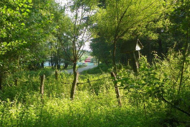 Repere de var Cltorie pe Drumul Neamului n mijlocul verii
