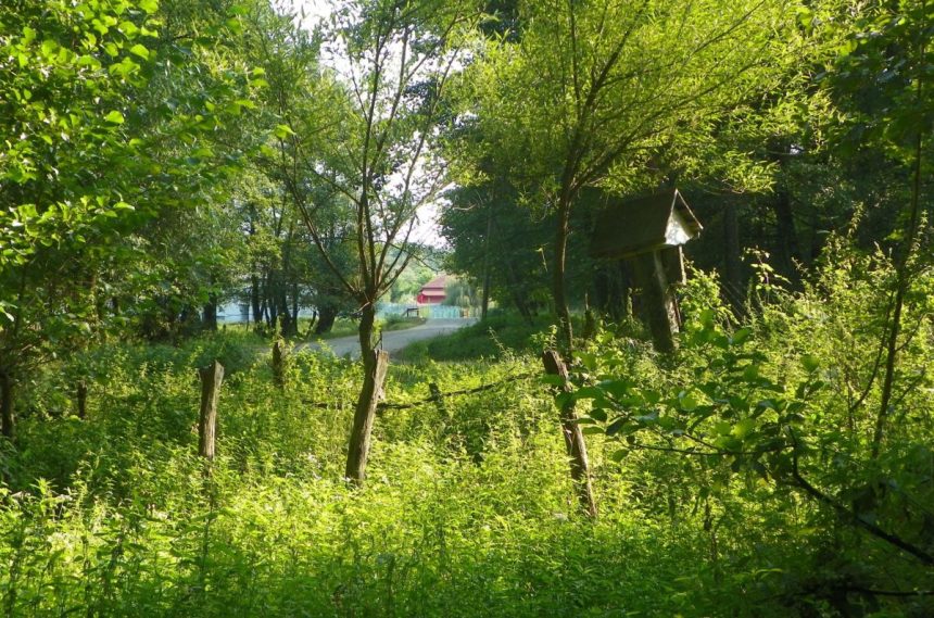 Repere de var Pe Drumul Neamtului in mijlocul verii