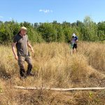 Eforturi pentru salvarea a 3 hectare de plantatie de pe malul Gilortului de la seceta