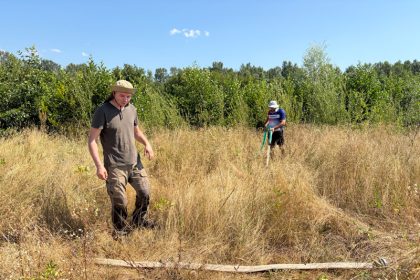 Eforturi pentru salvarea a 3 hectare de plantatie de pe malul Gilortului de la seceta