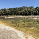 Epave germane aparute in Dunarea uscat
