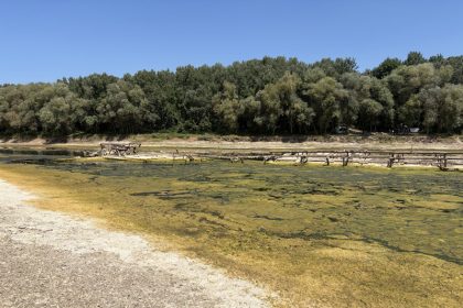 Epave germane aparute in Dunarea uscat