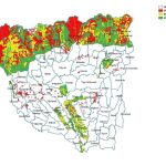 Peste 28000 de hectare de padure din Gorj protejate strict Ce cer autoritile judeene