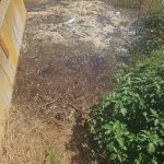 Poluare la Dragutesti Un abator arunca mizeria direct pe teren