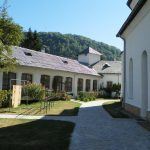 Repere spirituale Un Ave de Gustar la Tismana Gorjului