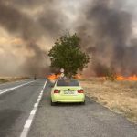 video incendiu de vegetaie de mari proporii n campu mare circulatia rutiera a fost suspendata