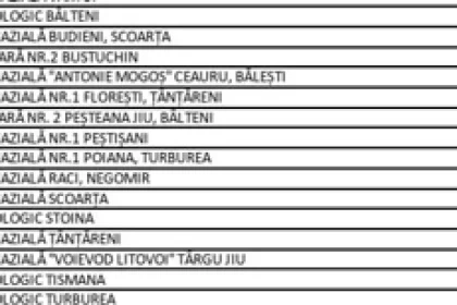 15 școli din Gorj pot primi finanțare pentru mese și sprijin la învățătură