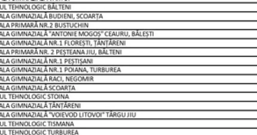15 școli din Gorj pot primi finanțare pentru mese și sprijin la învățătură