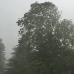 Alertă meteo: Vânt și ploi în toată țara