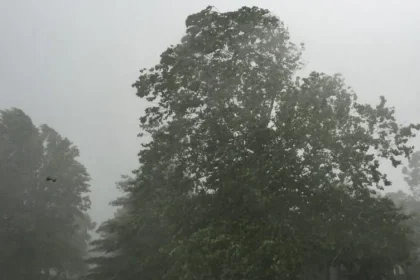 Alertă meteo: Vânt și ploi în toată țara
