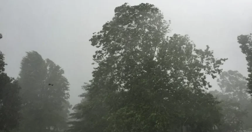 Alertă meteo: Vânt și ploi în toată țara