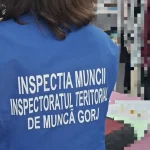 Amenzi de peste 300.000 de lei după controale ITM Gorj