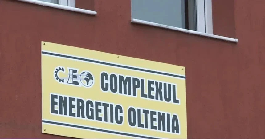 CEO-ul are și acționari persoane fizice!