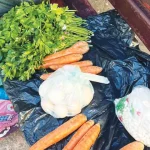 Femeia de 80 de ani vinde legume pe o bancă în Târgu Jiu: „Pensia e mică“
