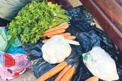 Femeia de 80 de ani vinde legume pe o bancă în Târgu Jiu: „Pensia e mică“