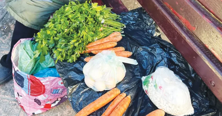 Femeia de 80 de ani vinde legume pe o bancă în Târgu Jiu: „Pensia e mică“