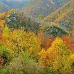 Ghid pentru profesori: „Școala din natură – Defileul Jiului” apropie elevii de natură