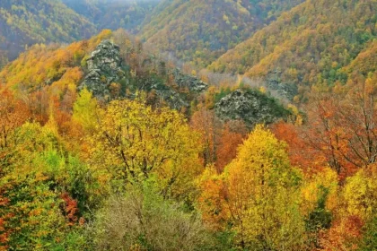 Ghid pentru profesori: „Școala din natură – Defileul Jiului” apropie elevii de natură