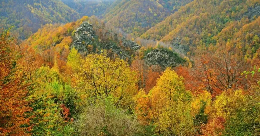 Ghid pentru profesori: „Școala din natură – Defileul Jiului” apropie elevii de natură
