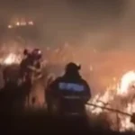Incendiu de vegetație în comuna Samarinești, surprins în video