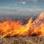 Incendiu de vegetație lângă spitalul din Dobrița