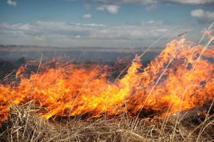 Incendiu de vegetație lângă spitalul din Dobrița