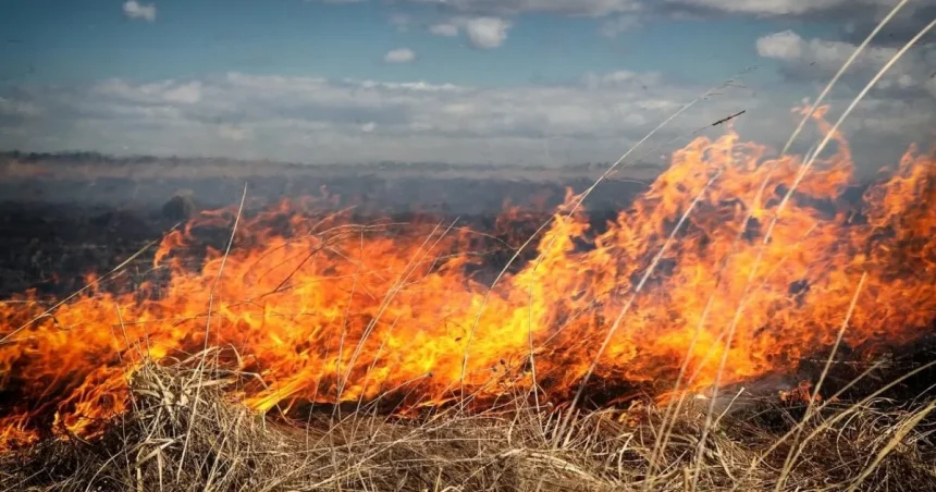 Incendiu de vegetație lângă spitalul din Dobrița