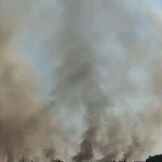 Incendiu de vegetație pe digul Jiului, la Târgu Jiu. Intervin patru autospeciale