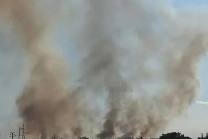 Incendiu de vegetație pe digul Jiului, la Târgu Jiu. Intervin patru autospeciale