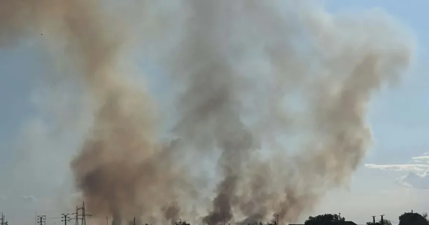 Incendiu de vegetație pe digul Jiului, la Târgu Jiu. Intervin patru autospeciale