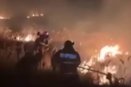 Incendiu la fabrica de celuloză din Drobeta-Turnu Severin: intervin pompieri din Gorj