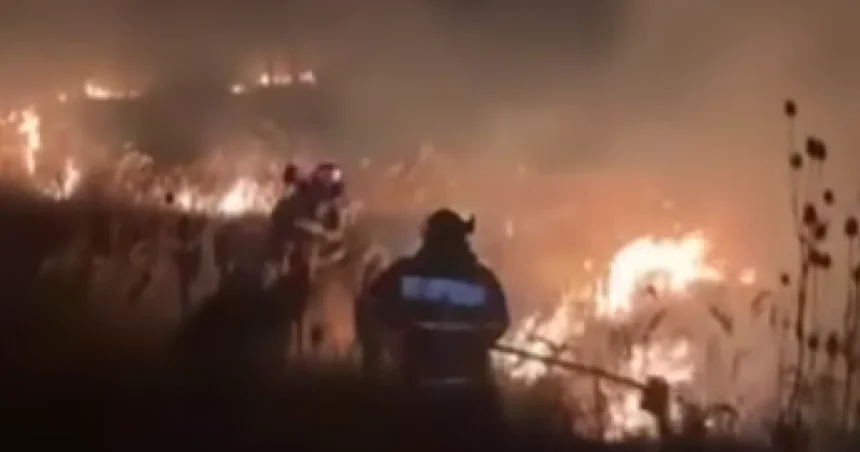 Incendiu la fabrica de celuloză din Drobeta-Turnu Severin: intervin pompieri din Gorj