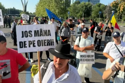 Modificări pentru crescătorii de oi după protestul din Capitală. Ce anunță Guvernul