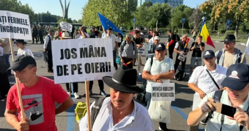 Modificări pentru crescătorii de oi după protestul din Capitală. Ce anunță Guvernul