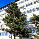 Neurochirurg căutat la Spitalul Județean
