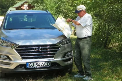 Pădurea de castani comestibili din Tismana, Gorj