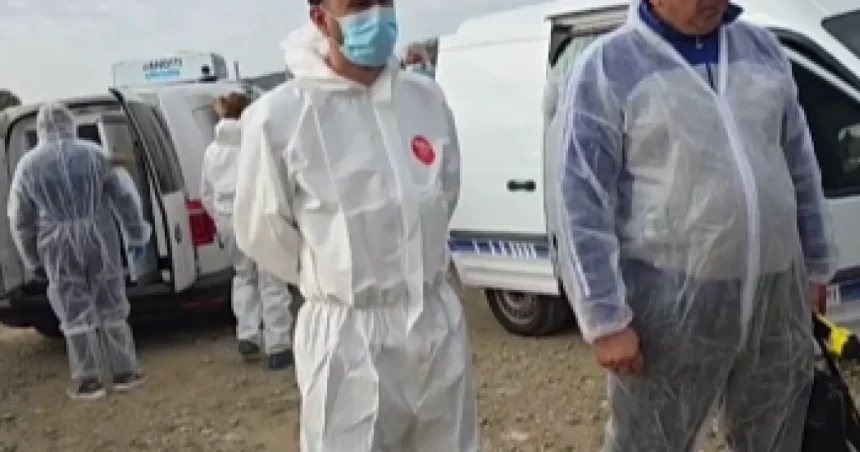 Tensiuni la Răchiți: localnicii se opun uciderii animalelor din ferma cu focar de variolă