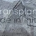 Transplantul de infinit al lui Florin Preda-Dochinoiu: hermeneutică aplicată