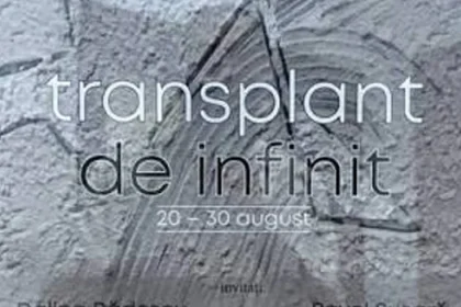 Transplantul de infinit al lui Florin Preda-Dochinoiu: hermeneutică aplicată