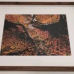 Un fotograf din Gorj scoate la vânzare fotografii dintr-un proiect niciodată finalizat
