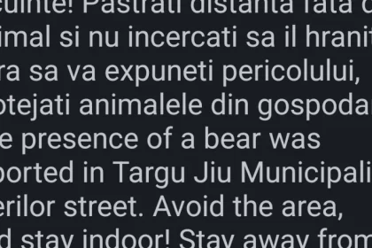 Urs văzut pe o stradă din Târgu Jiu; autoritățile au emis alertă RO Alert