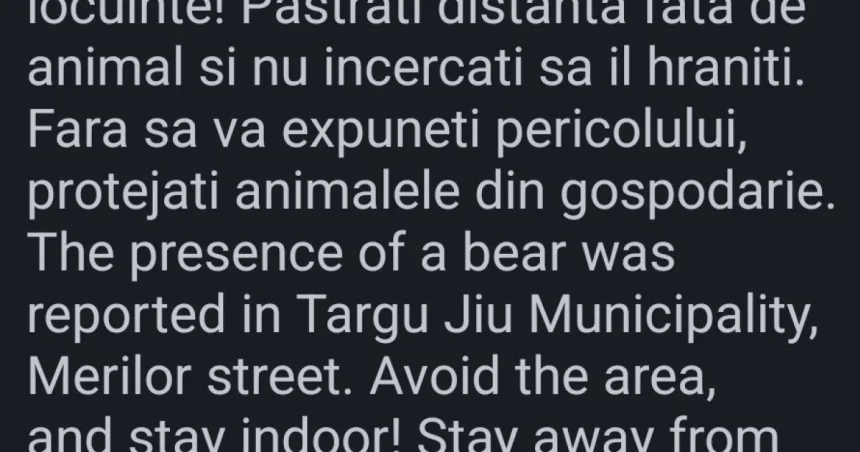 Urs văzut pe o stradă din Târgu Jiu; autoritățile au emis alertă RO Alert
