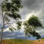 Vânt puternic și răcire accentuată în Gorj, sub avertizare meteorologică galbenă