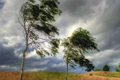 Vânt puternic și răcire accentuată în Gorj, sub avertizare meteorologică galbenă