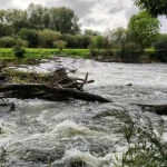 60 de cereri pentru pescuit pe apele montane din Gorj. Direcția Silvică are 11 râuri